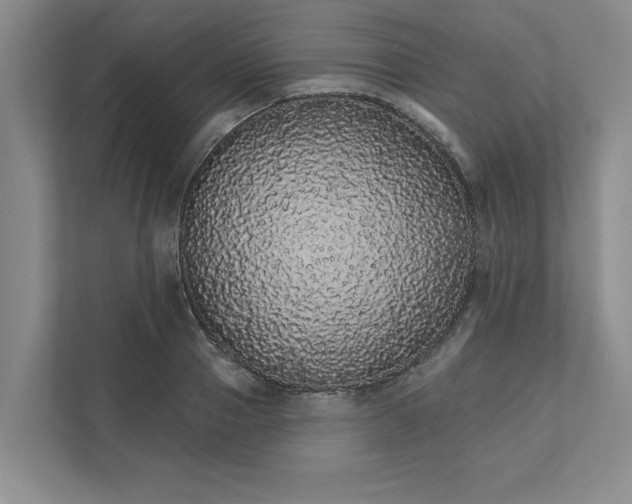 X0000111930937200908171234