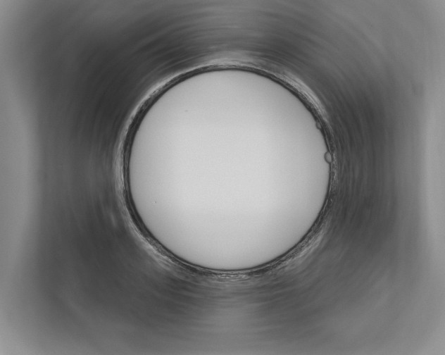 X0000111930939200908171234