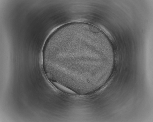 X0000111930940200908171234