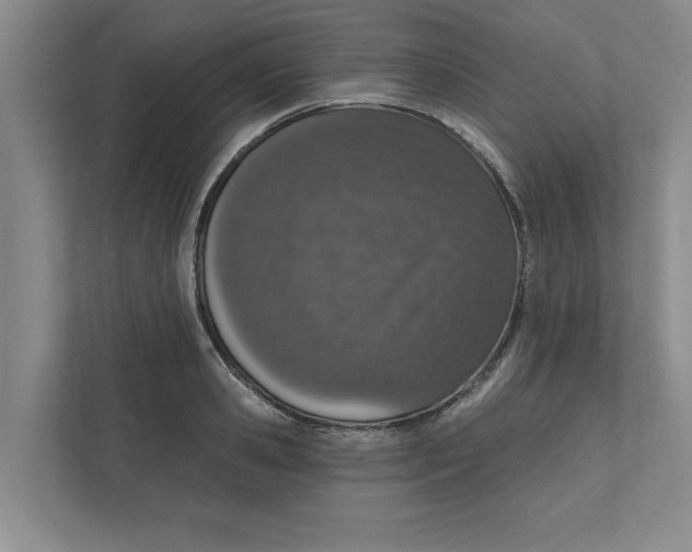 X0000111930941200908171234