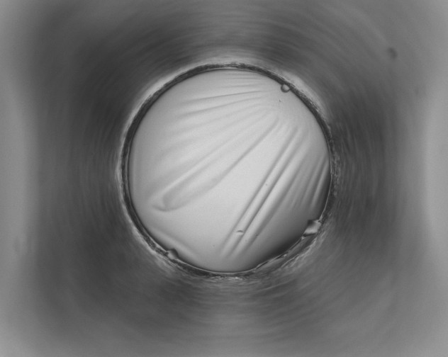 X0000111930943200908171234