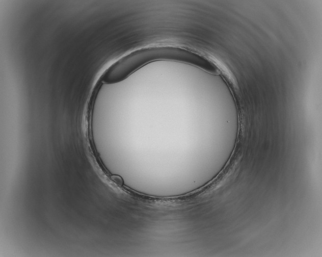 X0000111930944200908171234