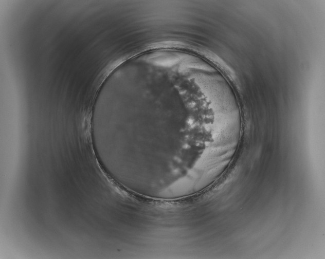 X0000111930945200908171234