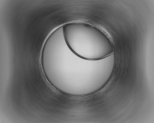 X0000111930948200908171234