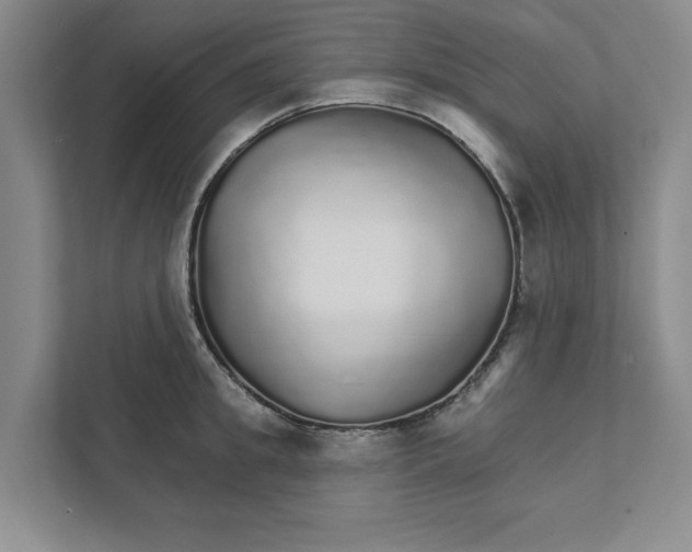 X0000111930949200908171234