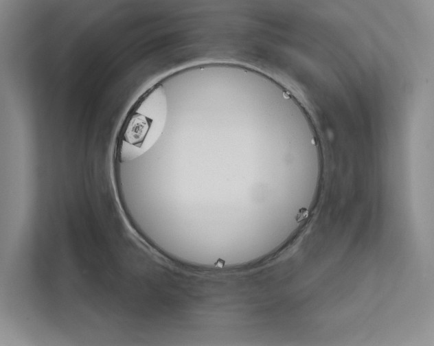 X0000111930950200908171234