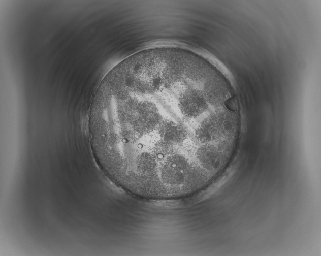 X0000111930953200908171234