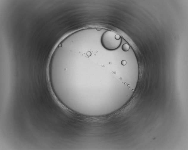 X0000111930955200908171234