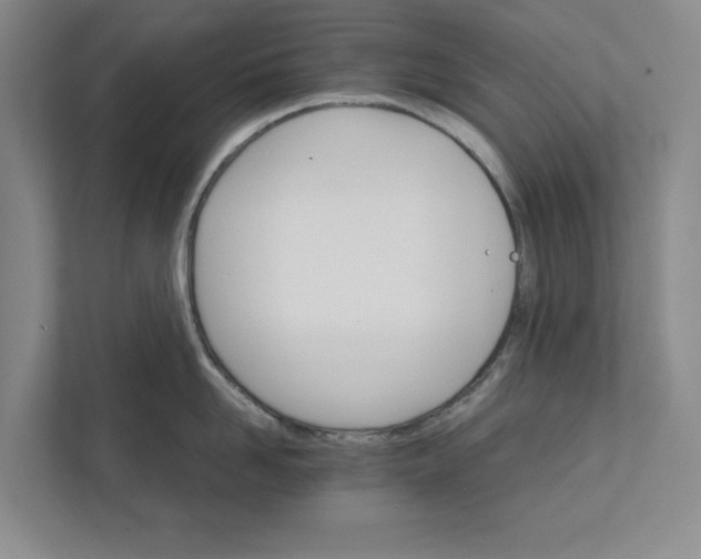 X0000111930958200908171234