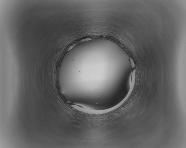 X0000111930961200908171233