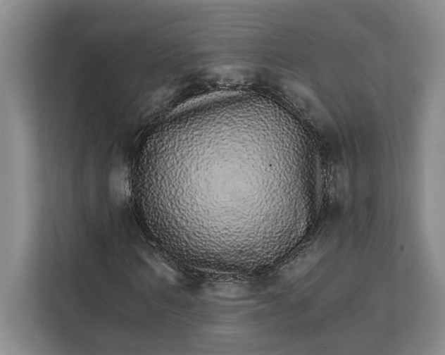 X0000111930962200908171233