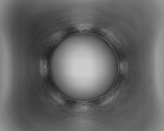 X0000111930963200908171233