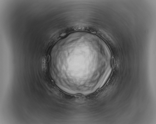 X0000111930964200908171233