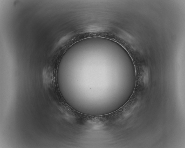 X0000111930966200908171233