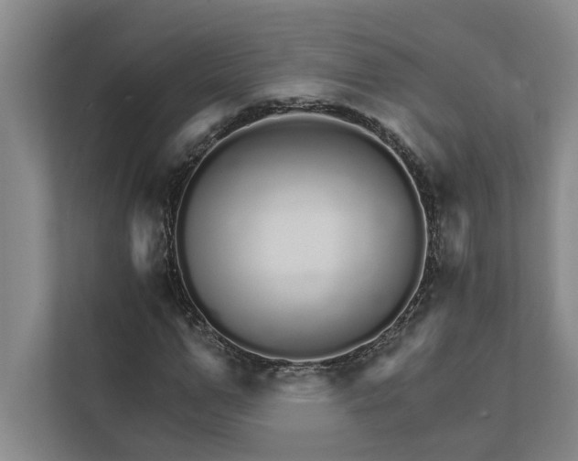 X0000111930967200908171233