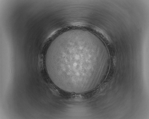 X0000111930968200908171233