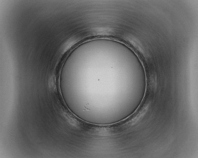 X0000111930970200908171233