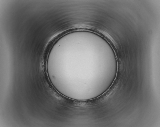 X0000111930971200908171233