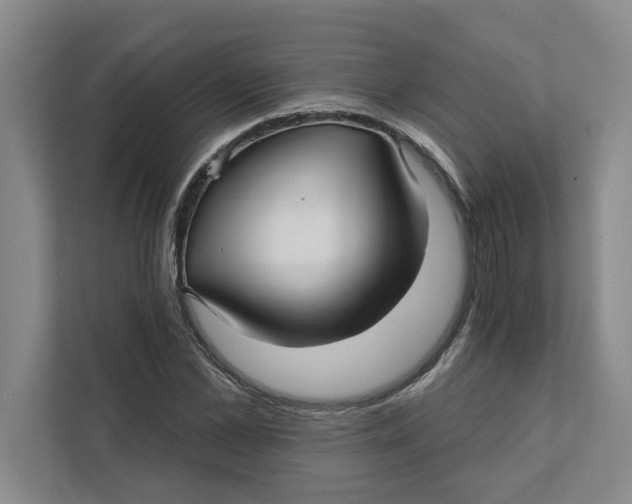 X0000111930973200908171233