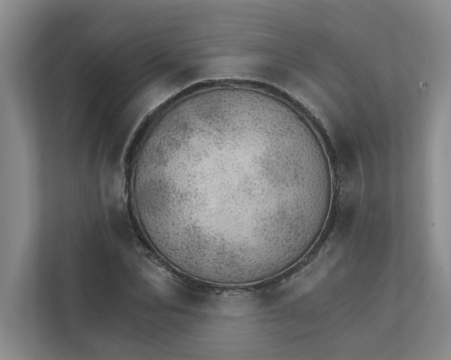 X0000111930974200908171233