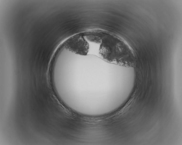 X0000111930975200908171233