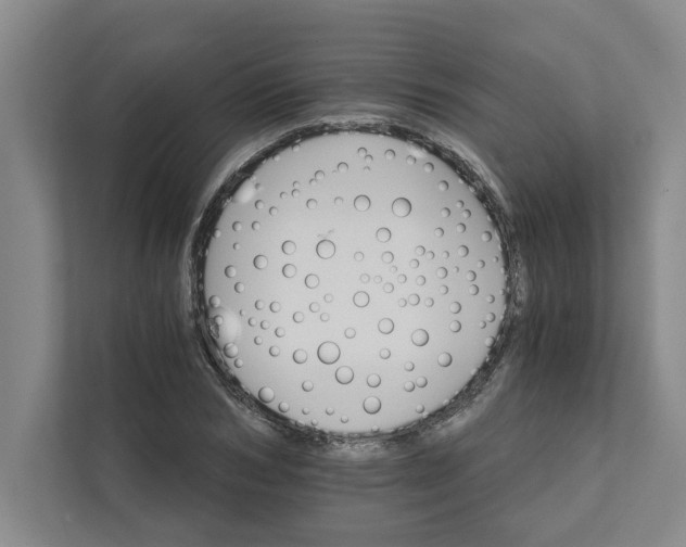 X0000111930978200908171233