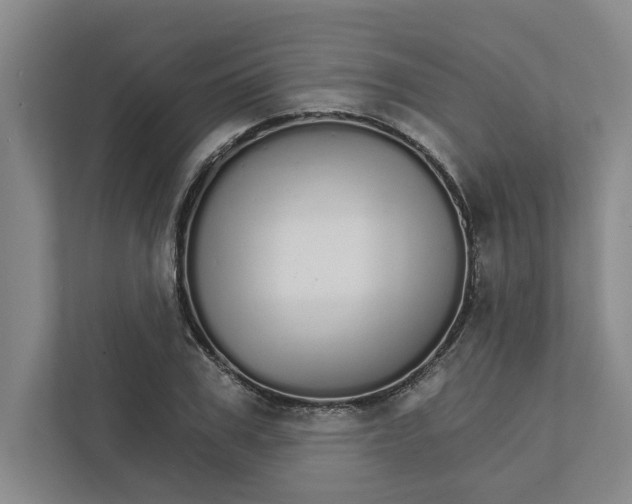 X0000111930979200908171233