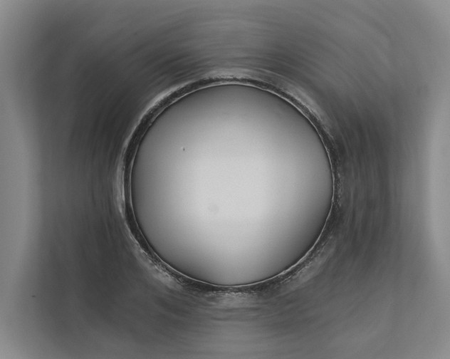 X0000111930984200908171233