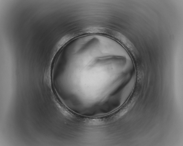 X0000111930986200908171233