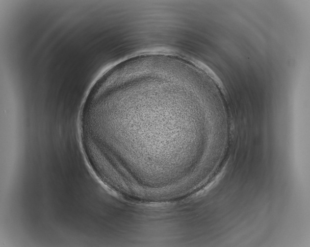 X0000111930989200908171233