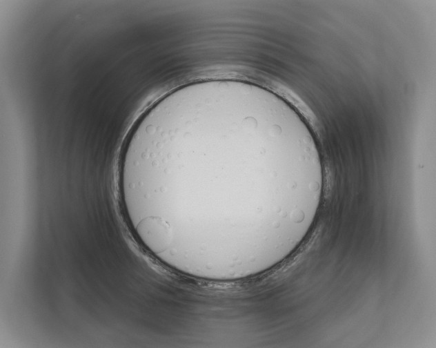 X0000111930994200908171233