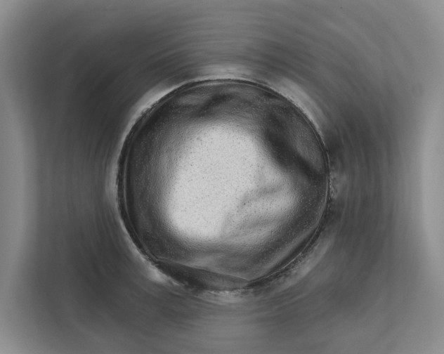 X0000111930995200908171233