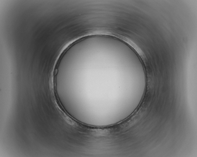 X0000111930996200908171233