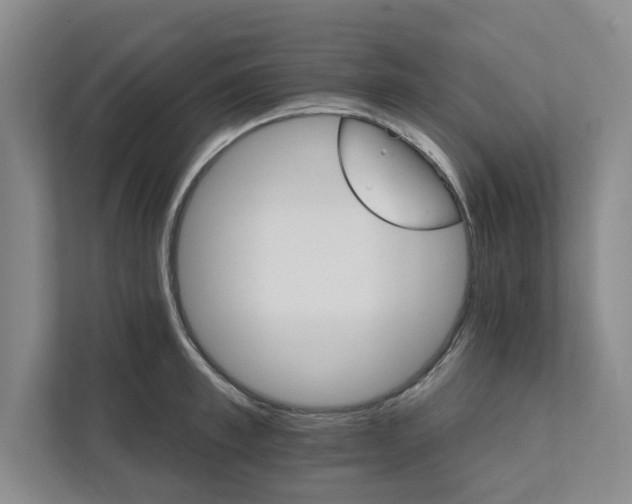 X0000111930997200908171233