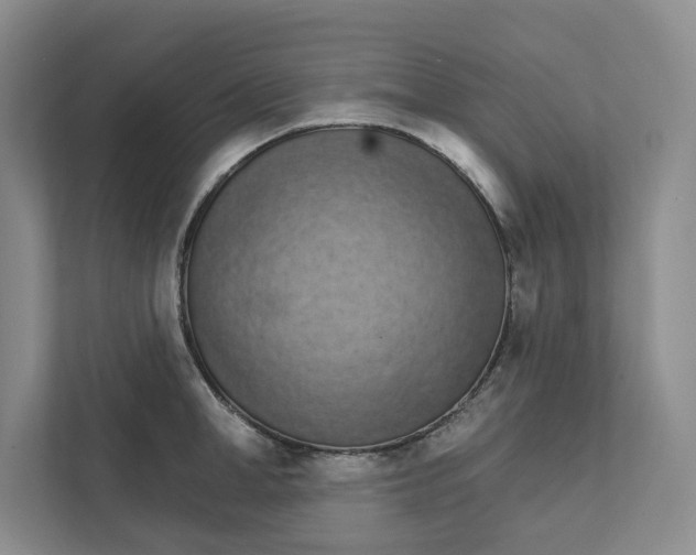 X0000111930998200908171233