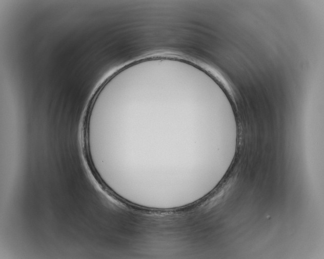 X0000111930999200908171233