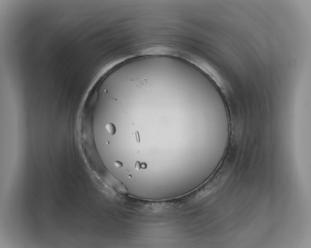 X0000111931000200908171233