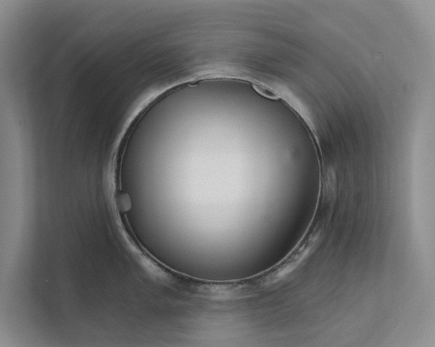 X0000111931005200908171233