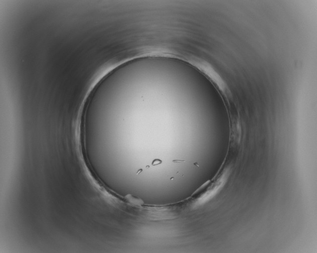 X0000111931007200908171233