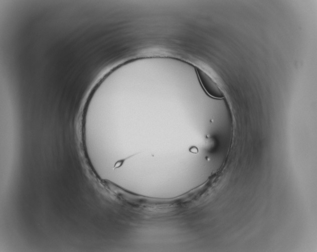 X0000111931008200908171233