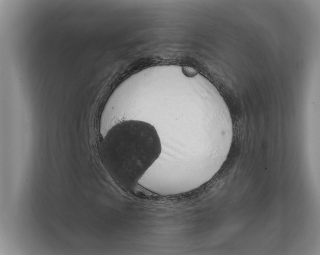 X0000111931009200908171232