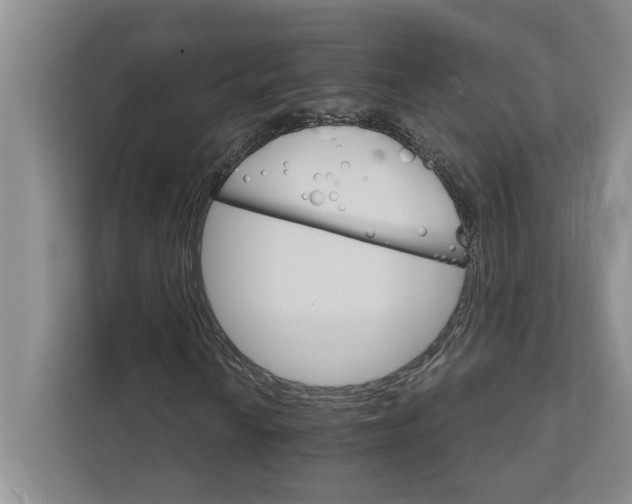 X0000111931010200908171232