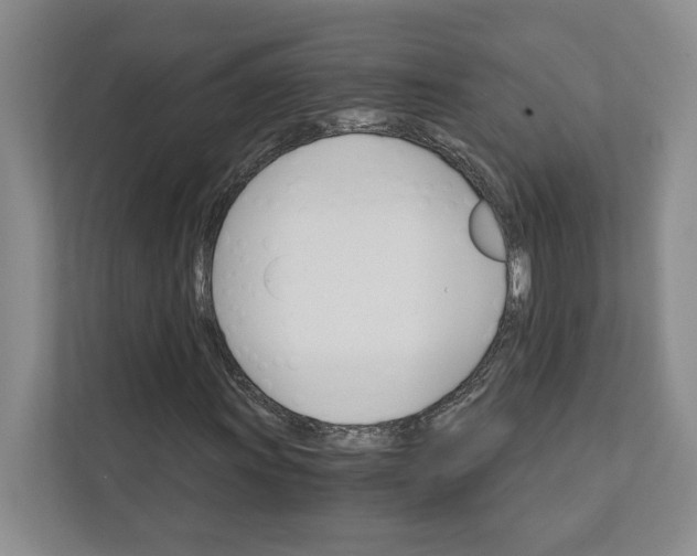 X0000111931011200908171232