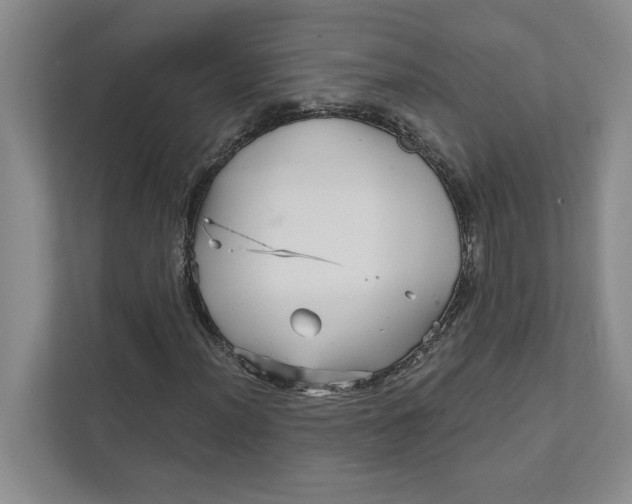 X0000111931012200908171232