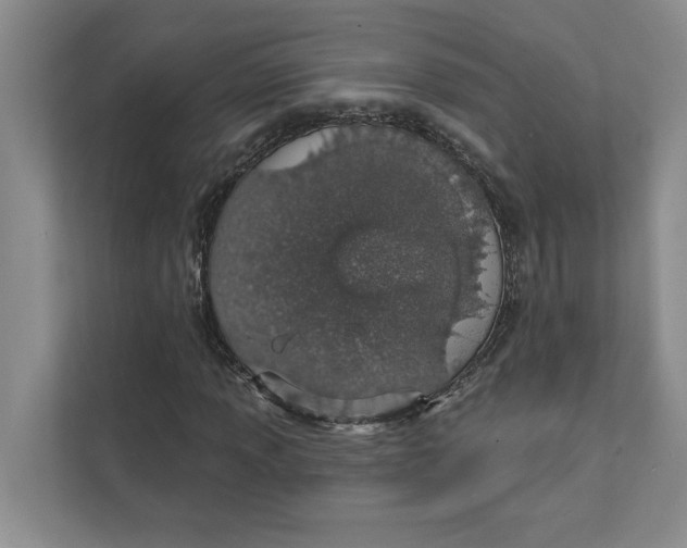 X0000111931013200908171232