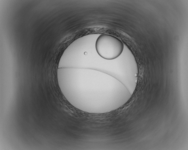 X0000111931014200908171232