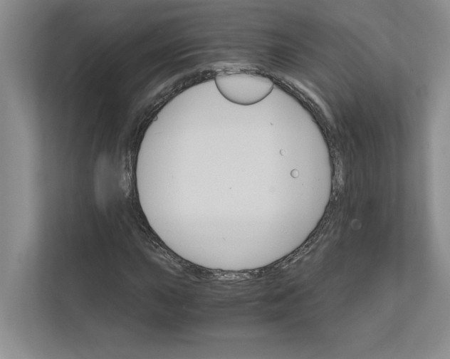 X0000111931015200908171232