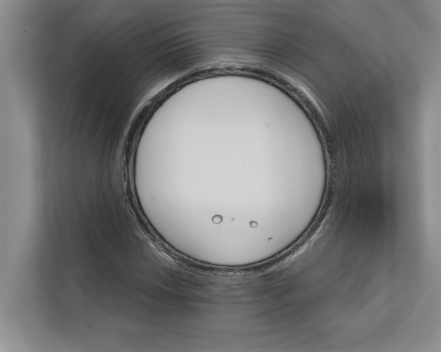 X0000111931018200908171232