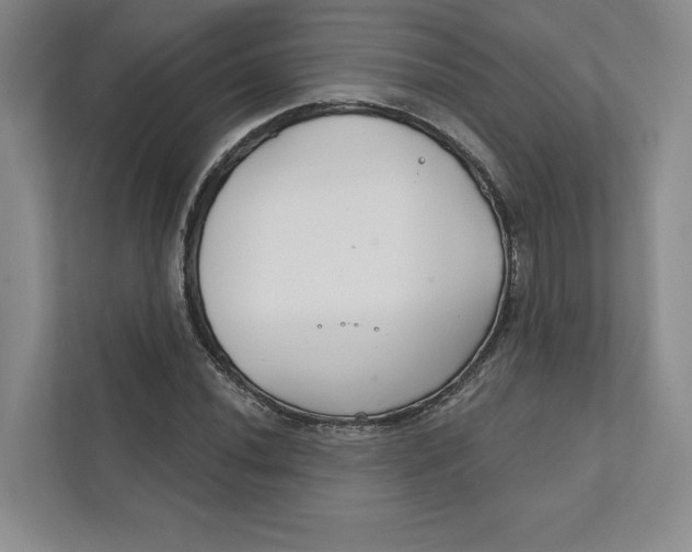 X0000111931020200908171232