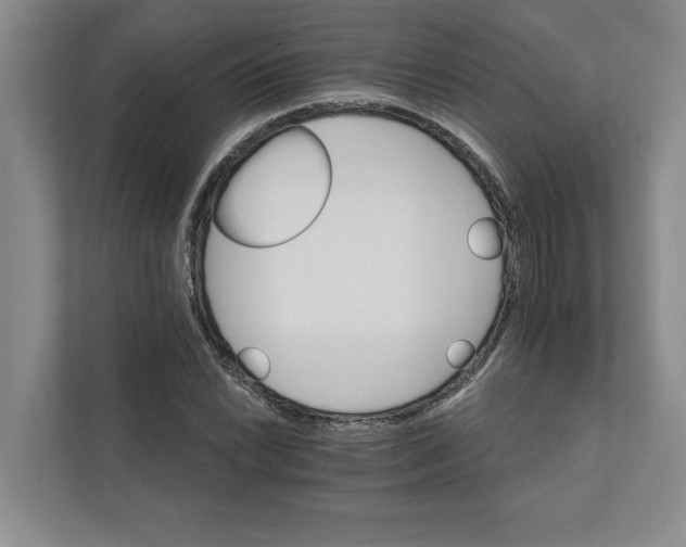 X0000111931022200908171232